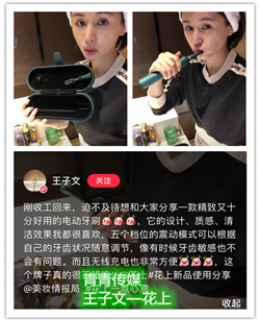 王子文小红书案例